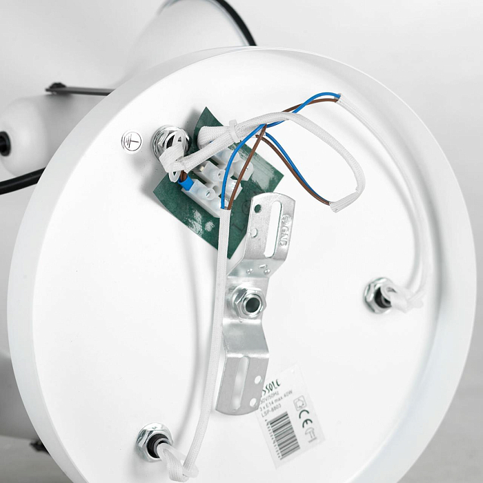 Спот Lussole LSP-8803