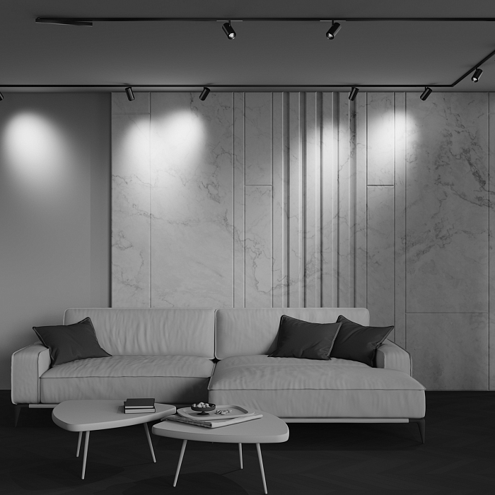 Technical TR244-12W3K-B