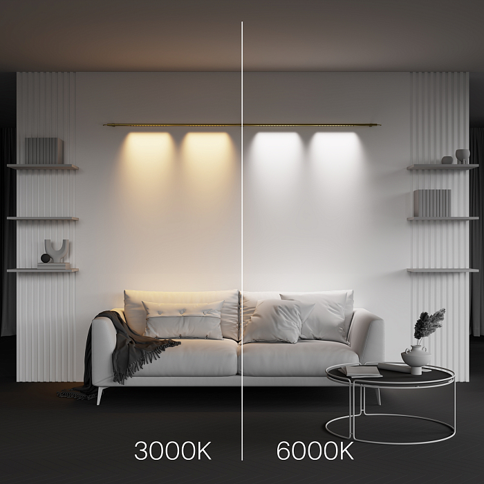Technical C101CL-L1000-24W3-6K-BS
