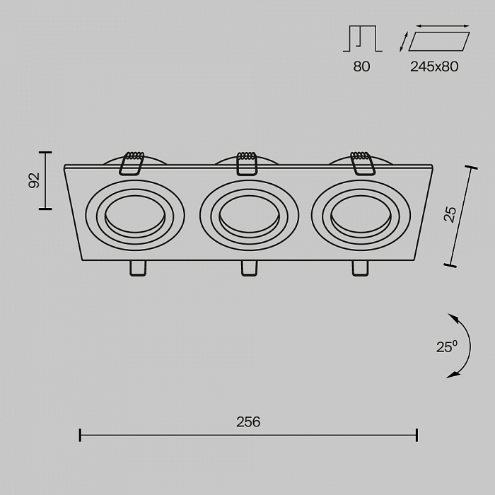 Светильник Technical DL024-2-03B