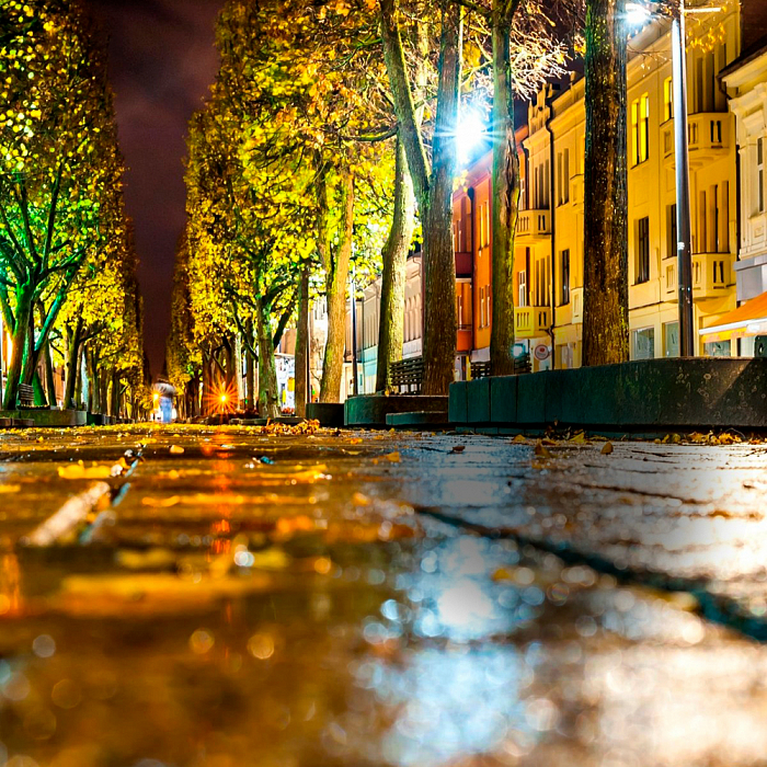 Уличный светильник FERON 48686