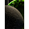 Divinare 2246/06 SP-1